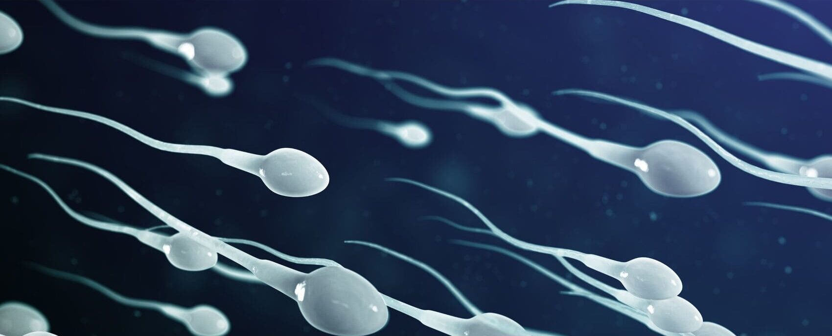 Biopsia testicular para detectar el origen de la infertilidad masculina