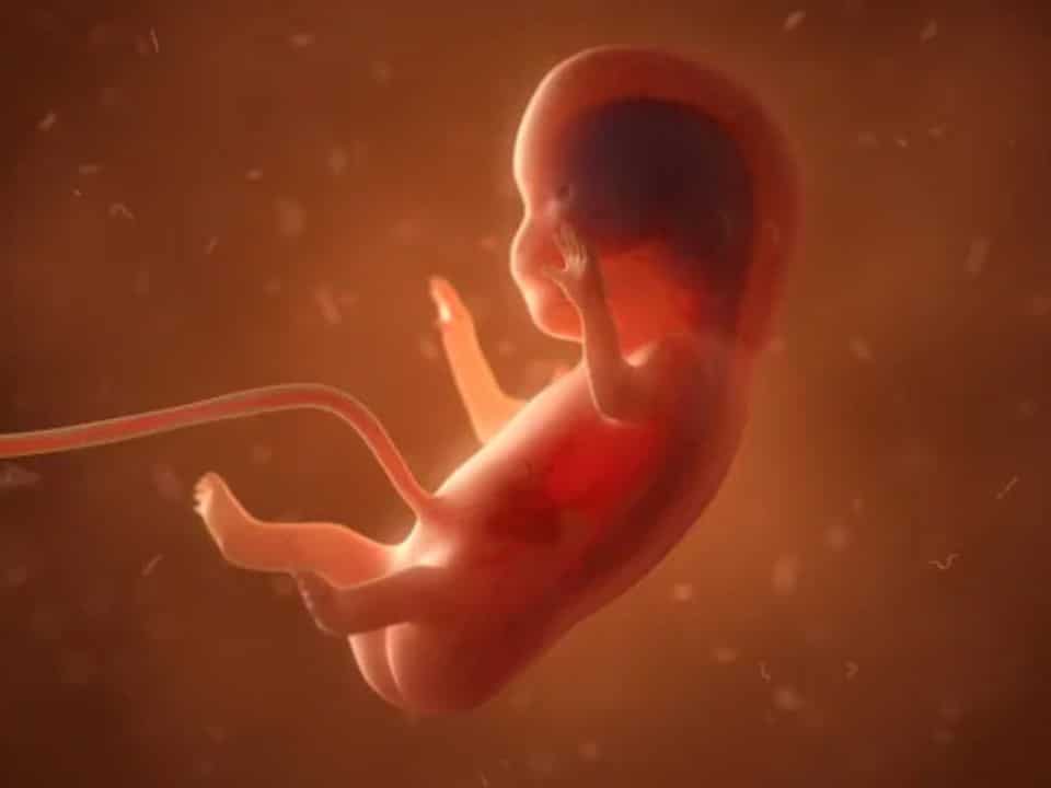 Alteraciones genéticas: ¿Qué son y cómo afectan a la fertilidad?