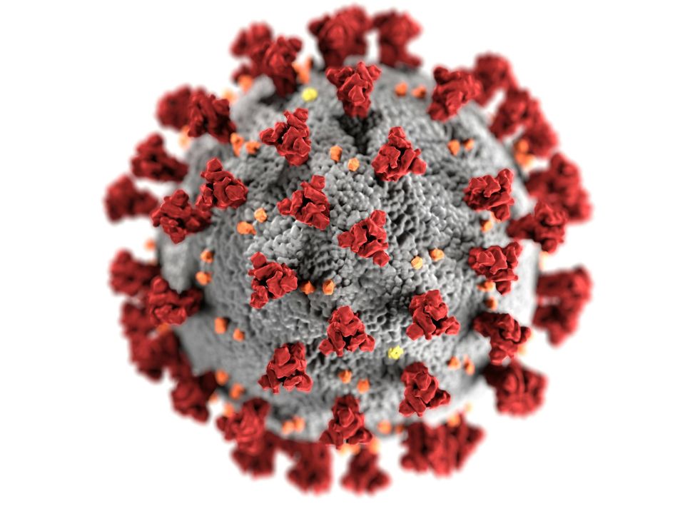 Virus del Papiloma Humano (VPH) y la fertilidad