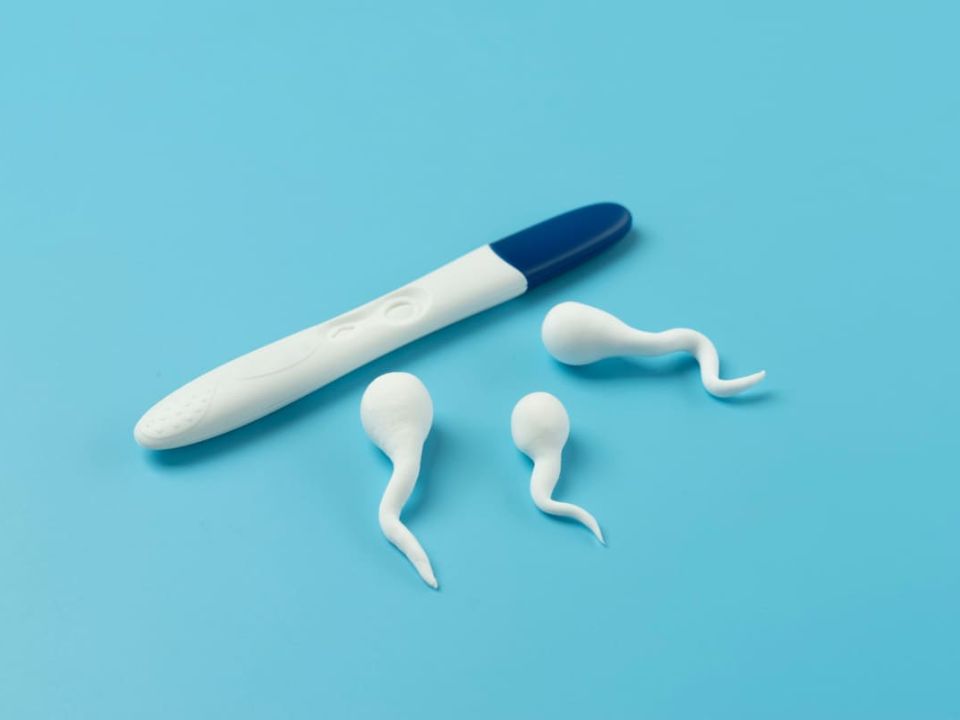 Banco de semen para tratamientos de Reproducción Asistida