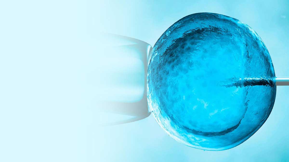 Egg retrieval: A Vital Process in Assisted Fertility