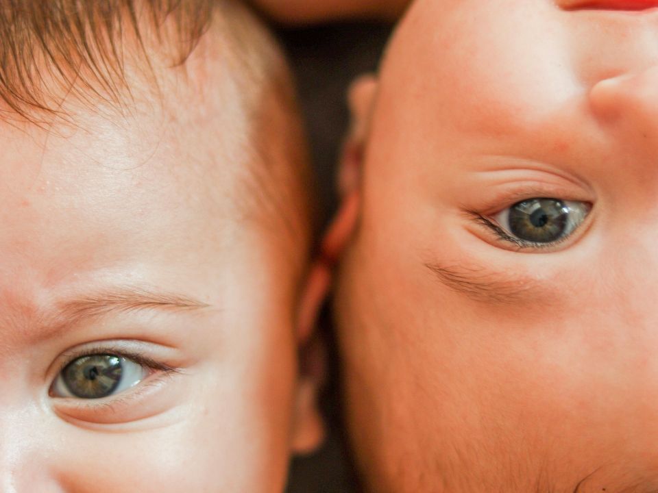 7 most common genetic diseases
