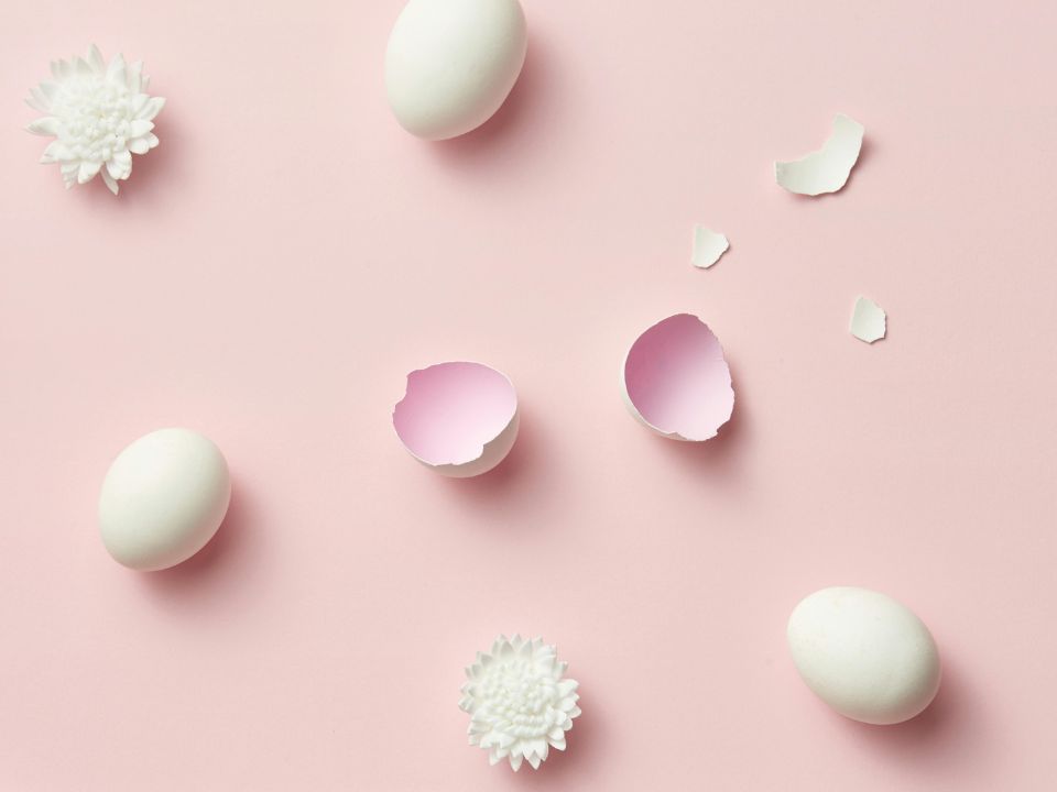 Anovulation and Fertility