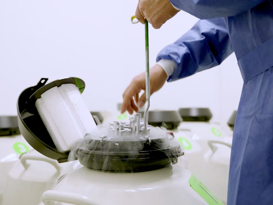 Heroes behind the science of life