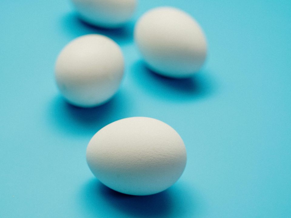 Egg and embryo vitrification