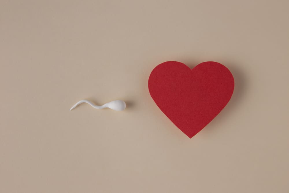 Timed Intercourse vs. IUI: Which is Best for You?