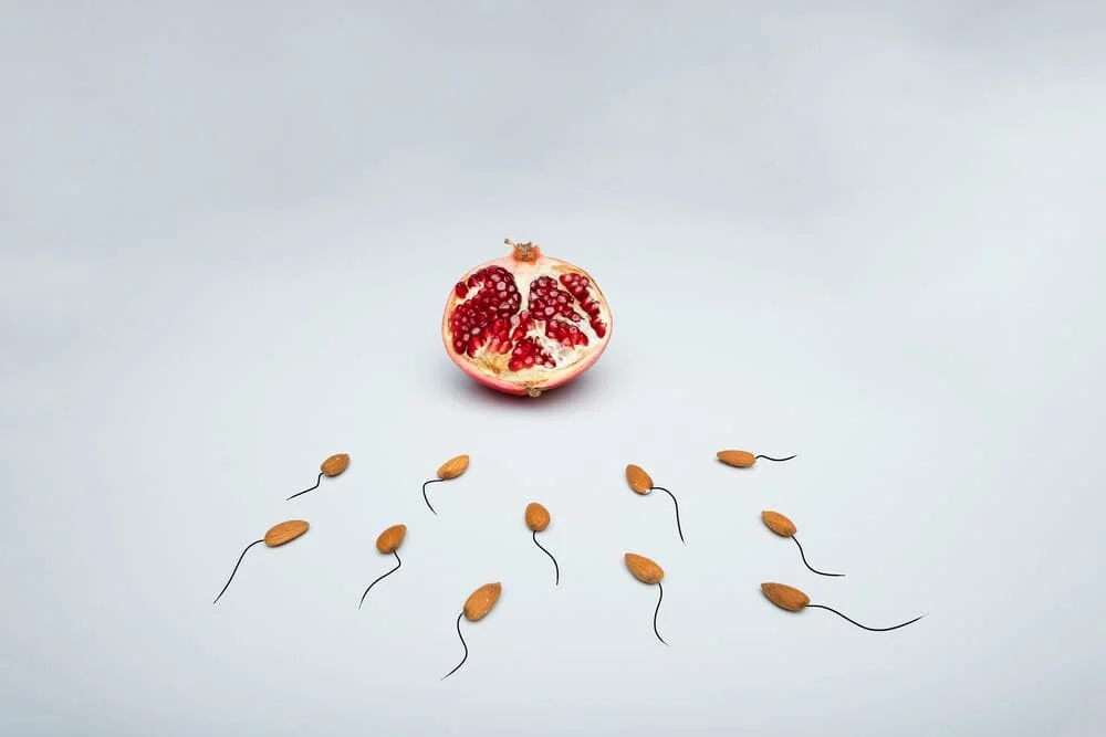 Ingenes en «Mi Cita Médica»: Restauración de Óvulos con IVF MORE®