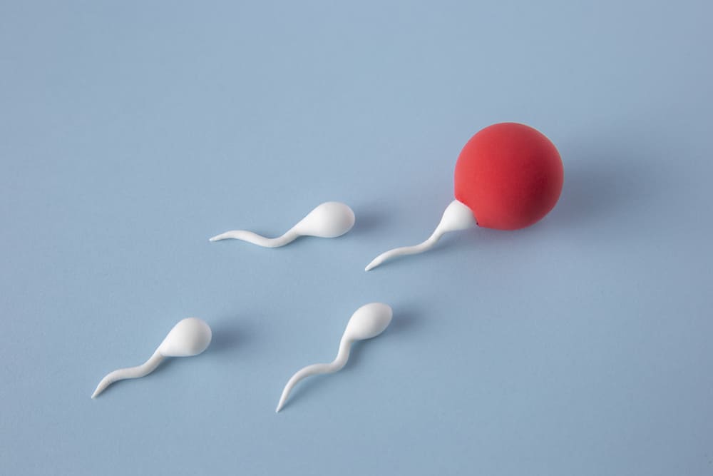 5 Ventajas Clave de la Inseminación Artificial Explicadas