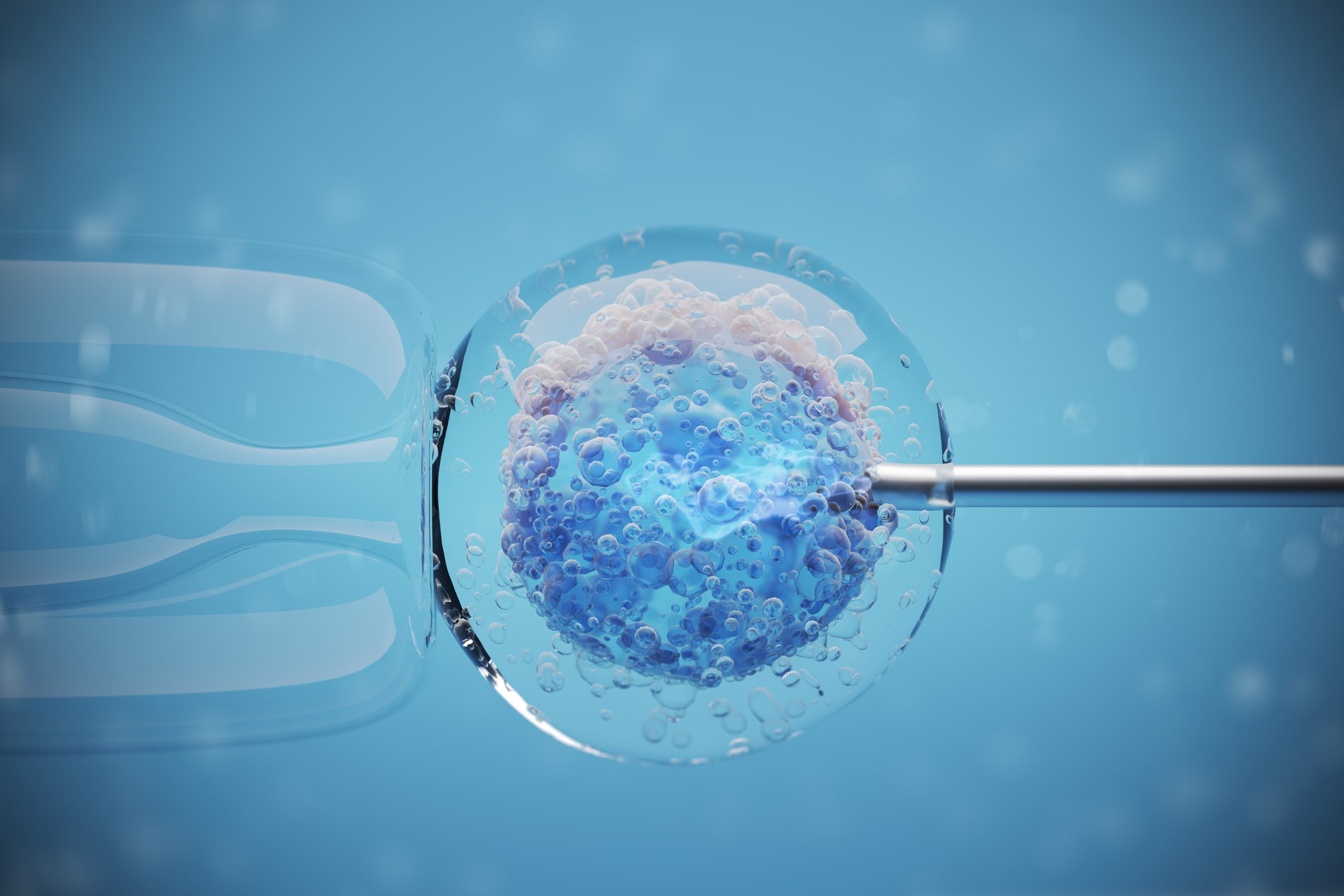 Does Egg Donation Hurt? What to Expect