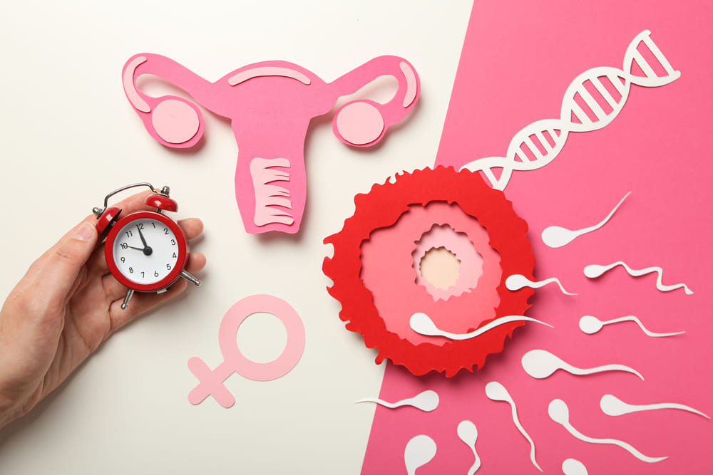 Día Mundial de la Fertilidad: Una Fecha para Informar, Empatizar y No Perder la Esperanza