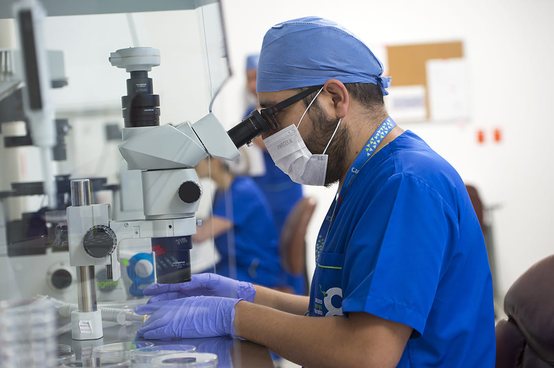 Embryologist Day: The Heart of Assisted Reproduction