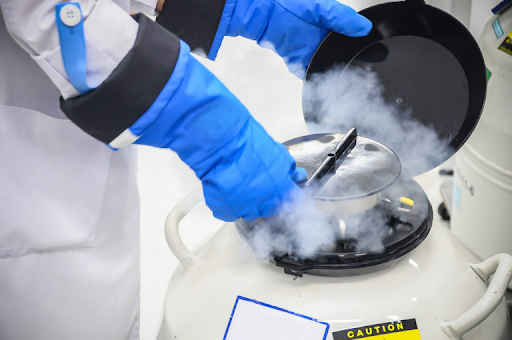 Evolucionando Endogen® en Ingenes: nacen los primeros 2 bebés con células madre alogénicas