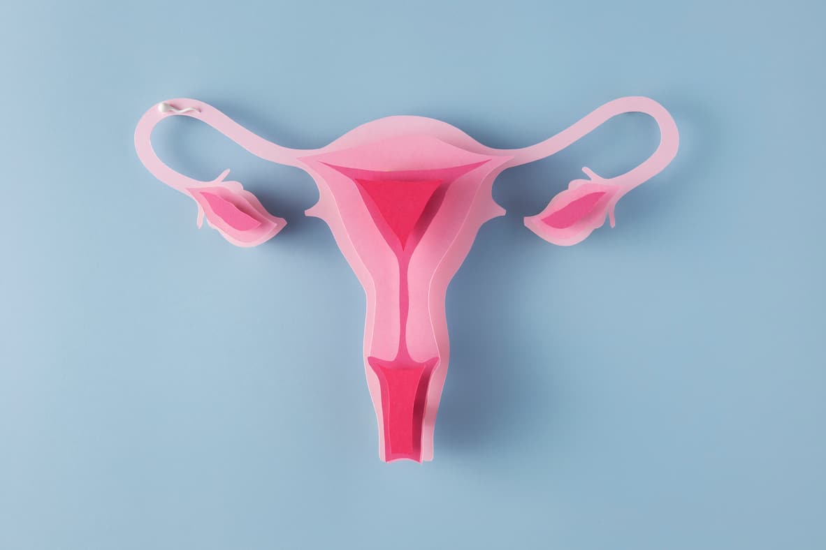 ¿Puedo Ser Mamá Si Solo Tengo Un Ovario?