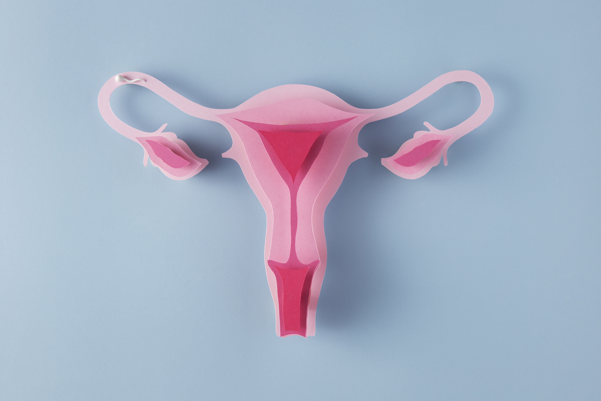 Can I Become a Mom If I Only Have One Ovary?