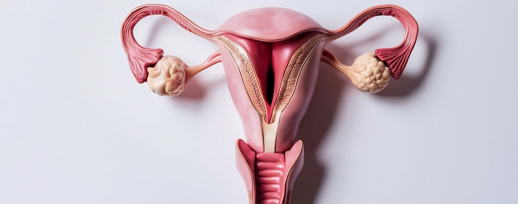 Día Mundial de la Endometriosis: lo que sí debes saber (síntomas, diagnóstico y cómo puede afectar la fertilidad)