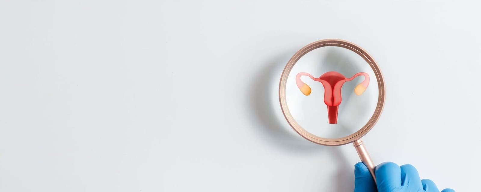 Fibroids, Polyps, and Adenomyosis: When They Do Affect Implantation, and When They Don’t