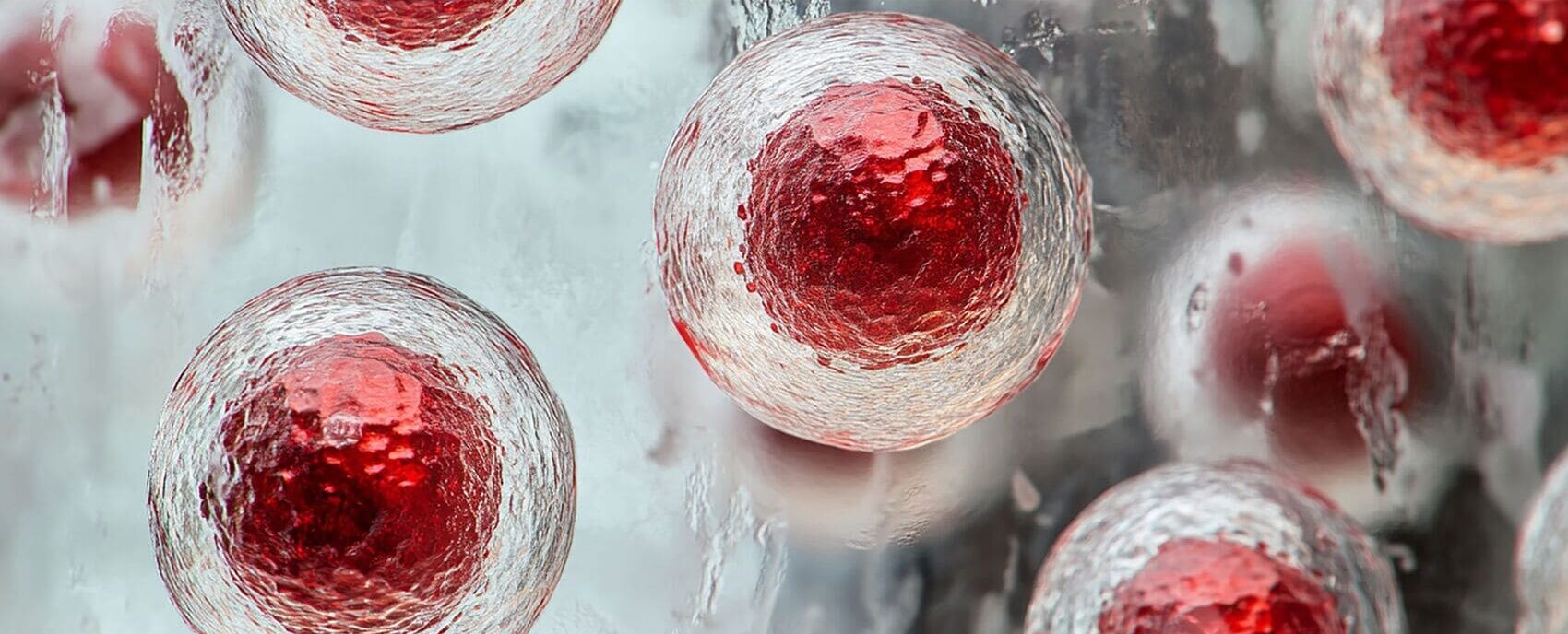 Ideal Age to Freeze Your Eggs: What Really Matters When Making This Decision
