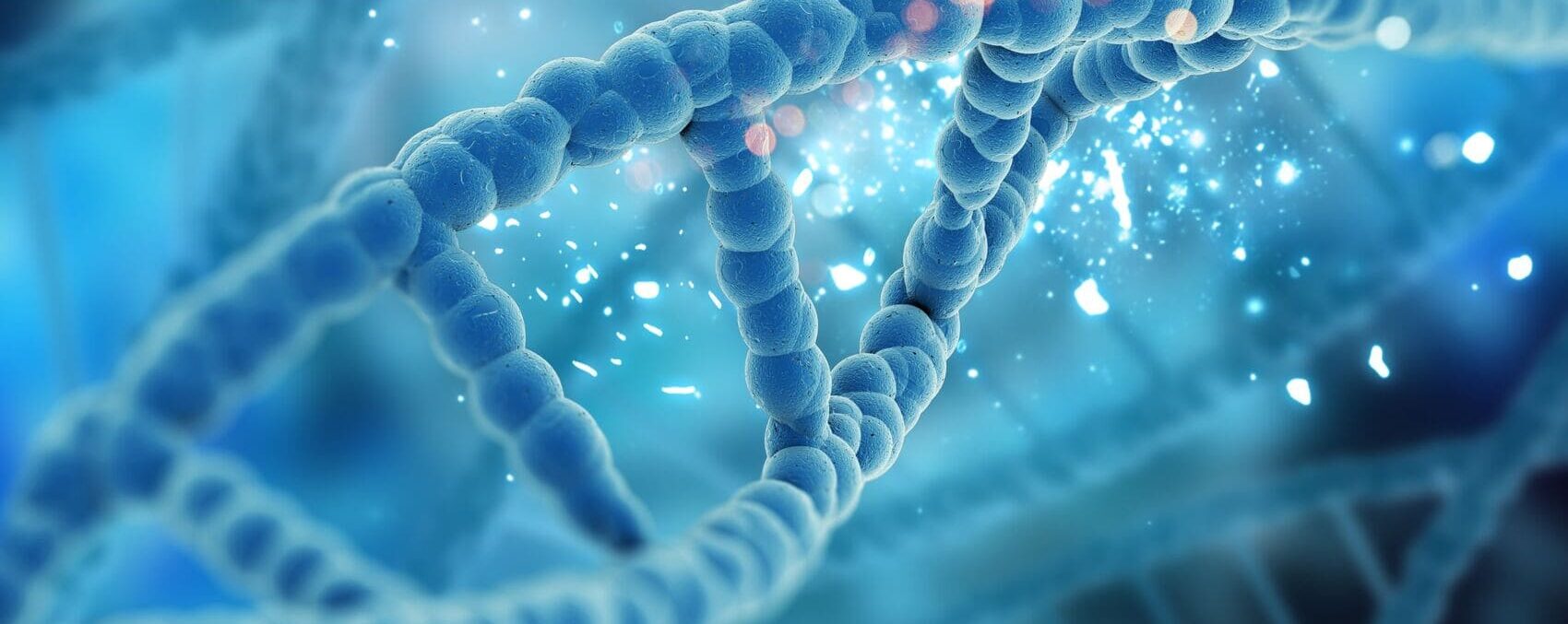 DNA Day: how genetic information influences your chances of having a baby