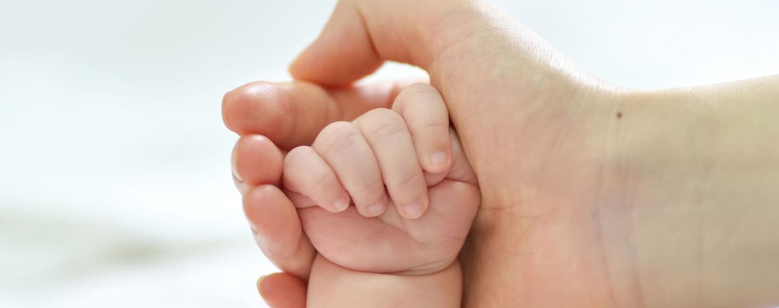 The Path to Your Baby: A Message of Hope for Those Who Never Give Up