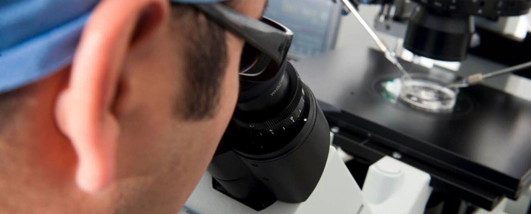 Más allá de la FIV: cómo ha evolucionado la reproducción asistida en los últimos años