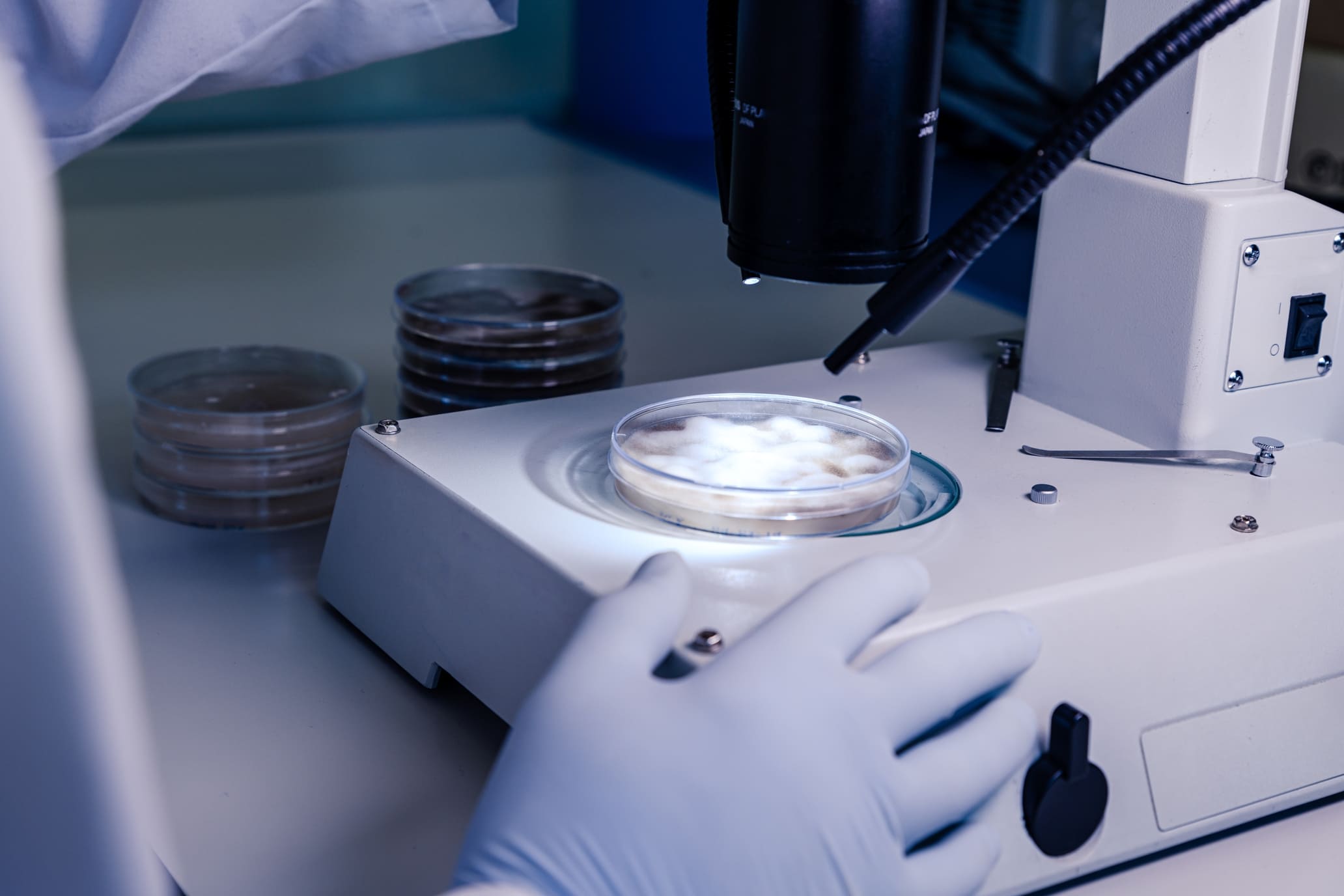 Embryologist evaluating embryo development during an IVF treatment