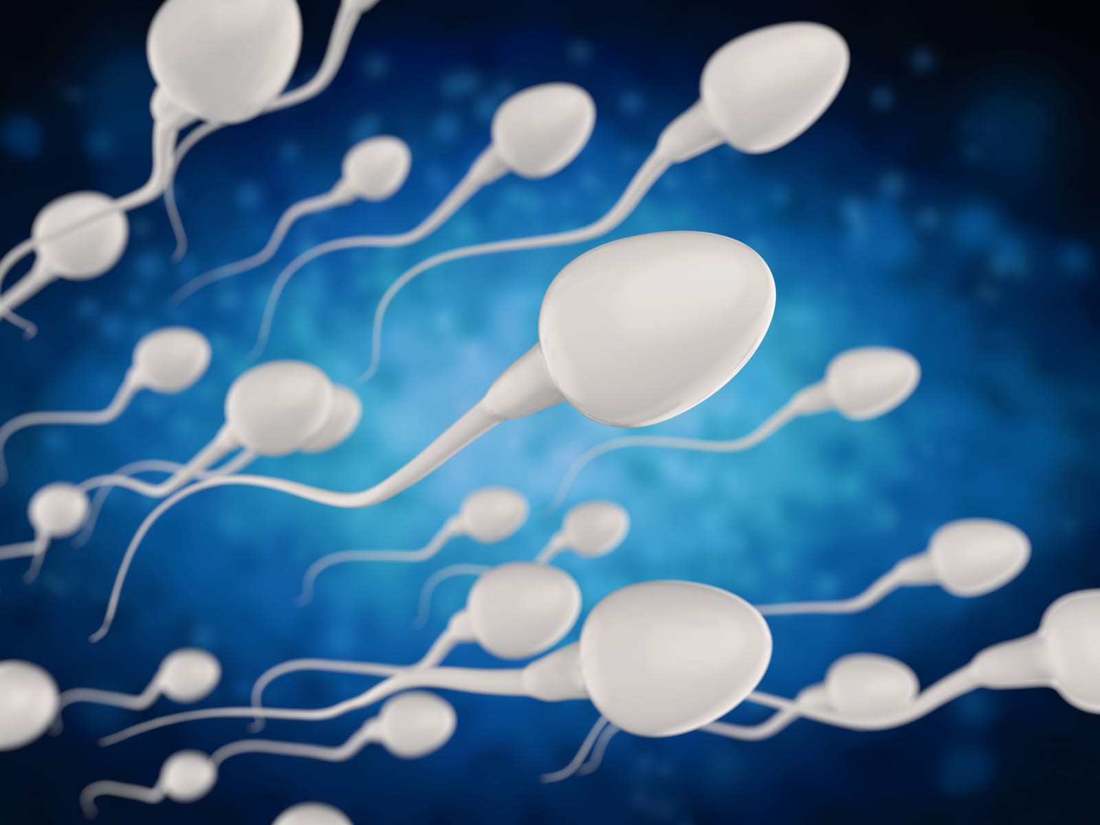Ilustración de espermatozoides que representa la calidad espermática en la fertilidad masculina