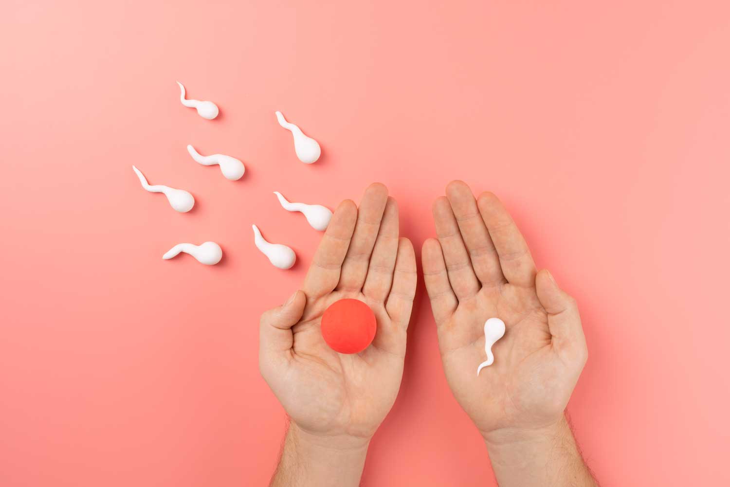 Acompañamiento médico para evaluar cortisol alto, equilibrio hormonal y fertilidad
