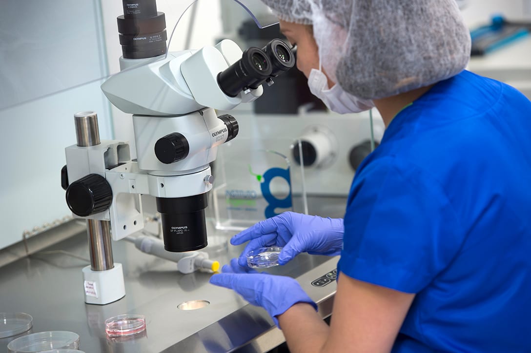 Ingenes embryologist analyzing a sample under the microscope in the assisted reproduction laboratory