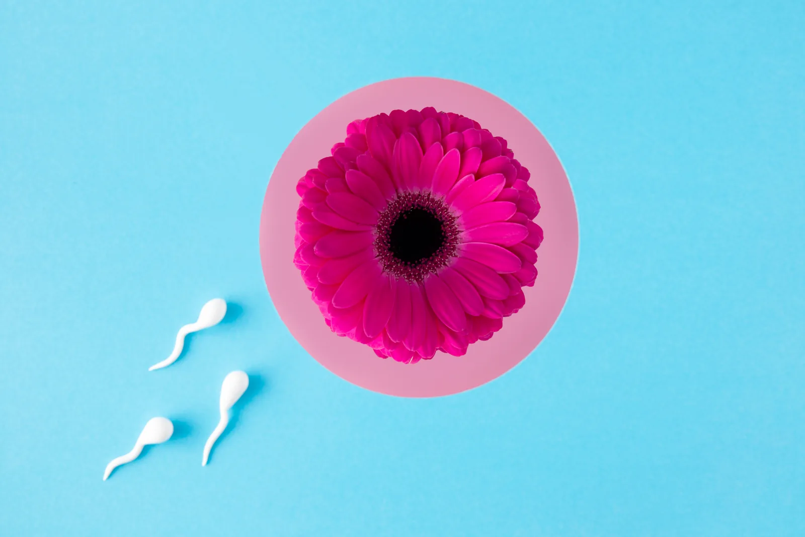 Día Mundial de la Fertilidad: pareja celebrando el deseo de formar familia con respaldo de medicina reproductiva moderna