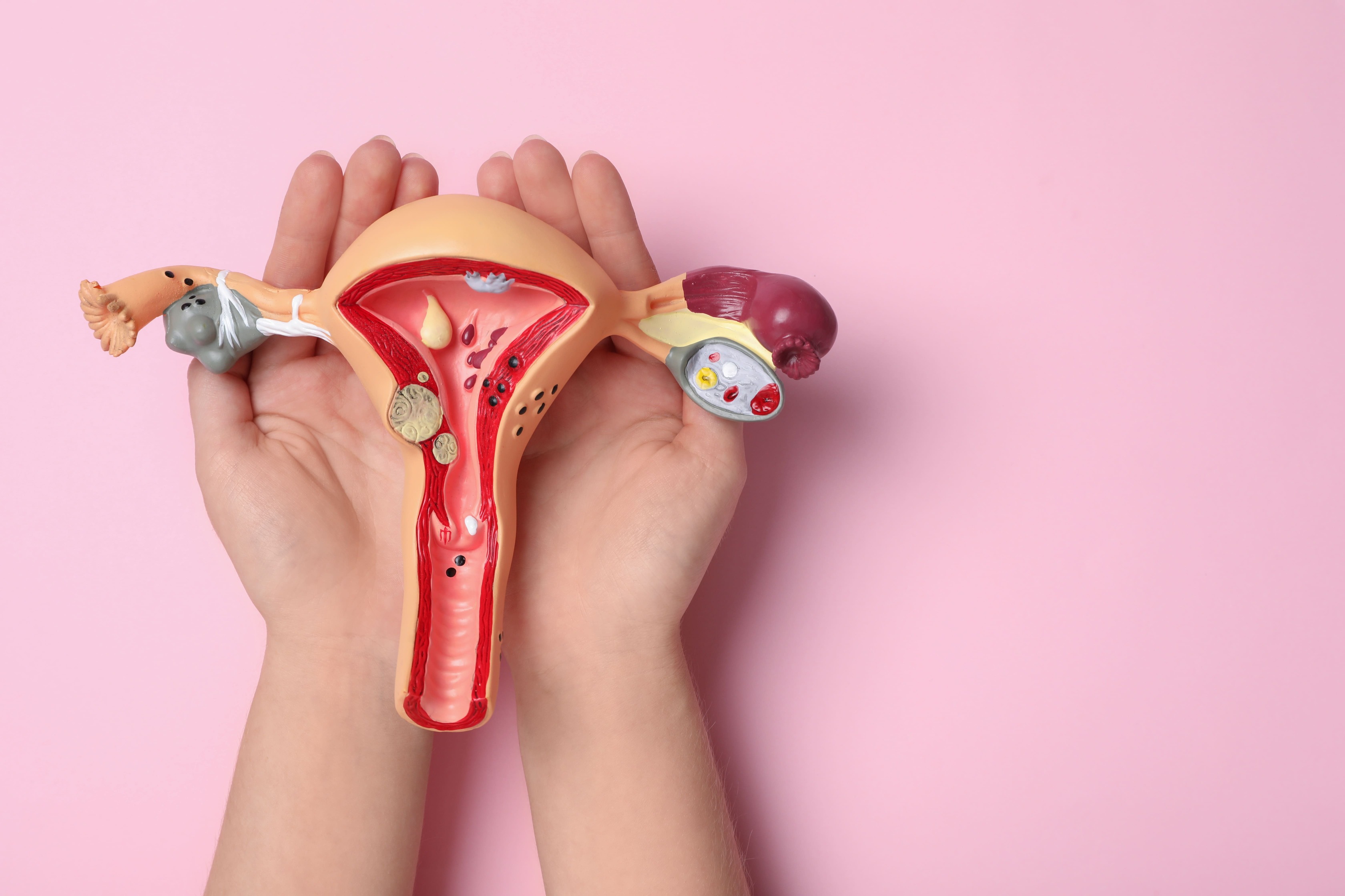 Ambiente uterino e implantación embrionaria