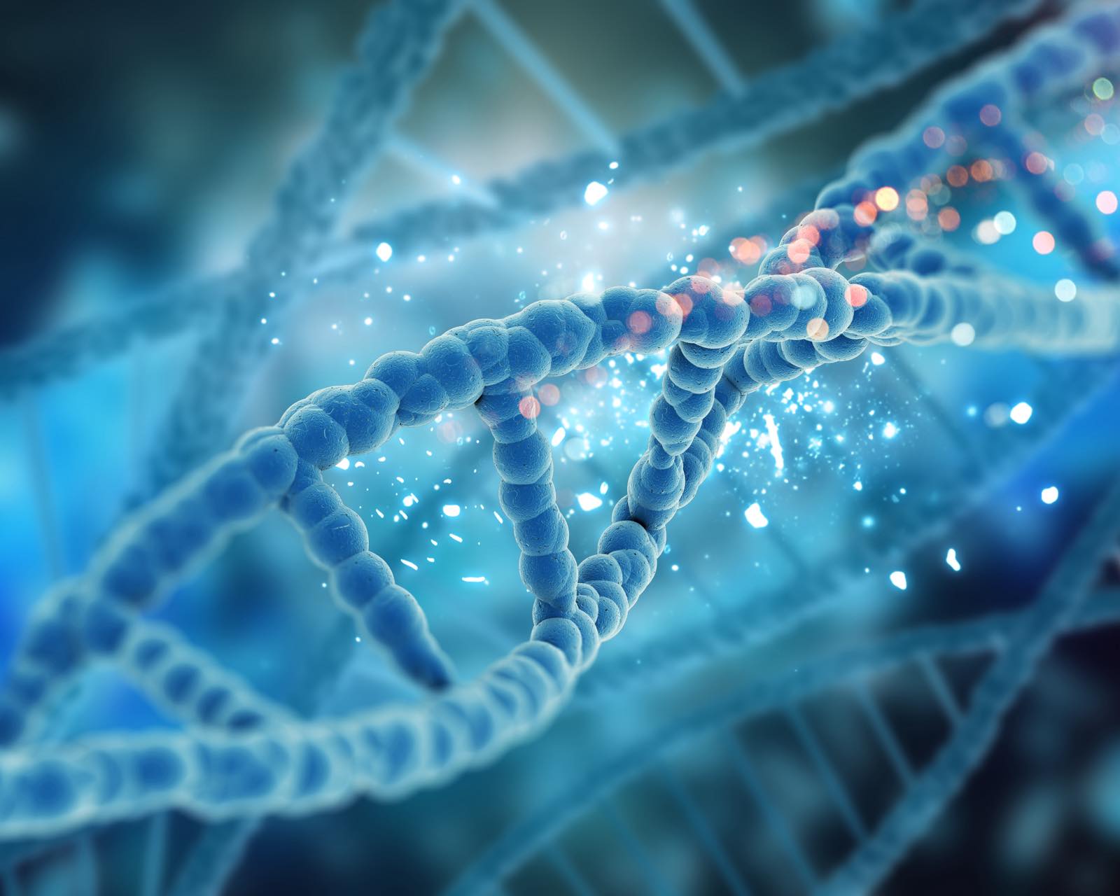Illustration of a DNA strand in blue tones, with points of light showing how the environment shapes the way genes are expressed
