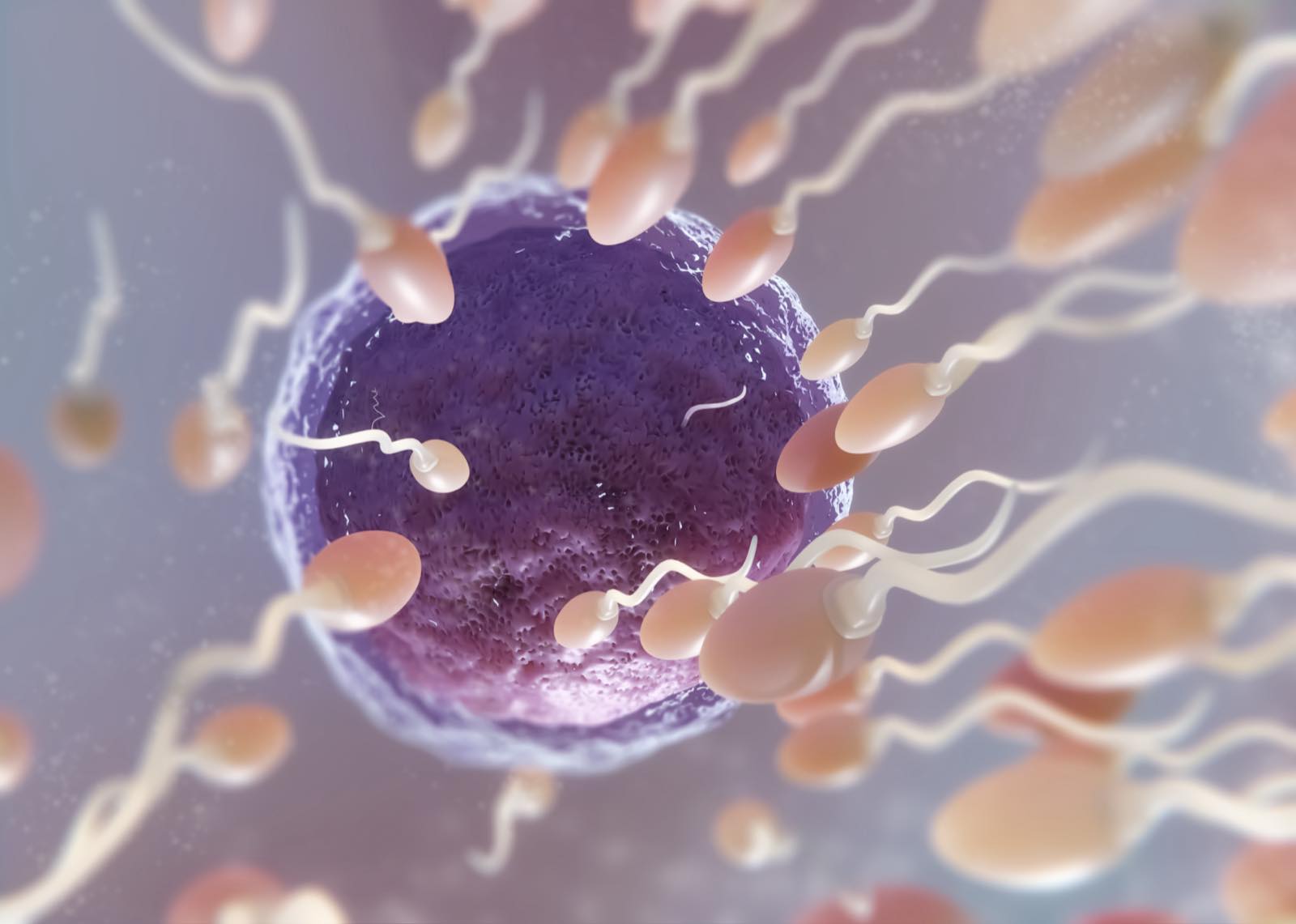 Embriólogo trabajando con muestras en el laboratorio de fecundación in vitro
