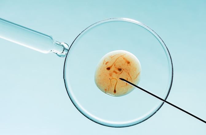 Tratamiento de fertilidad: inseminación artificial