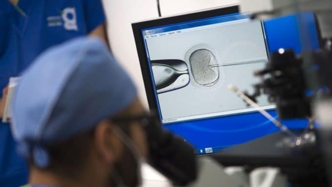investigación científica de fecundación in vitro vista desde un microscopio