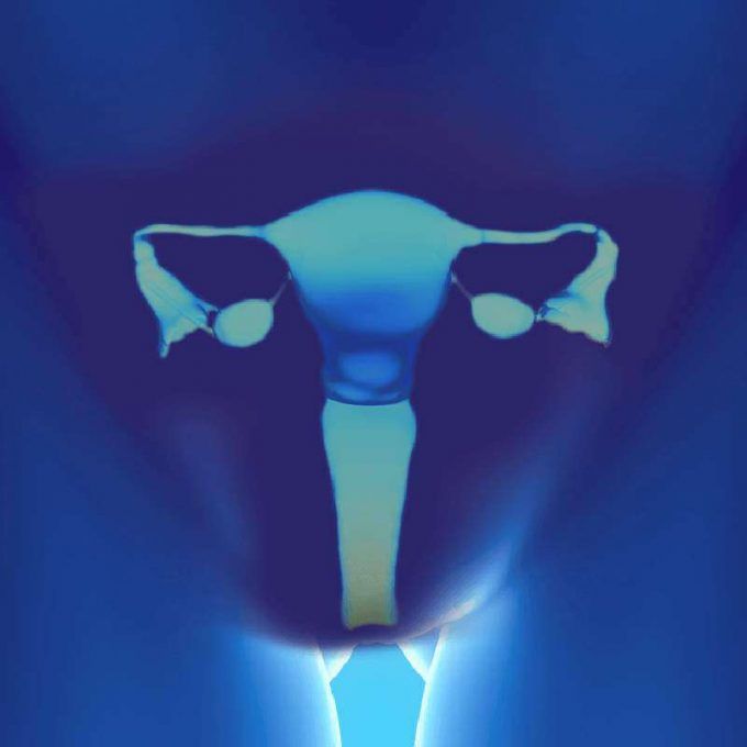 factor uterino