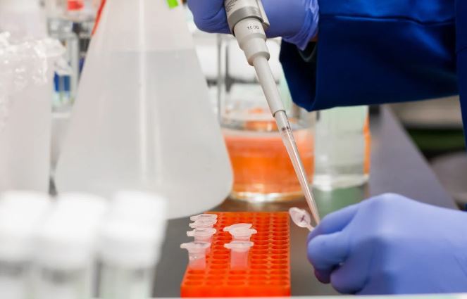 Laboratorio de genética en reproducción asistida