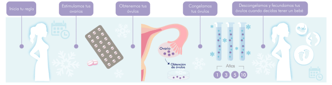 infografia-de-proceso-de-congelamiento-de-ovulos