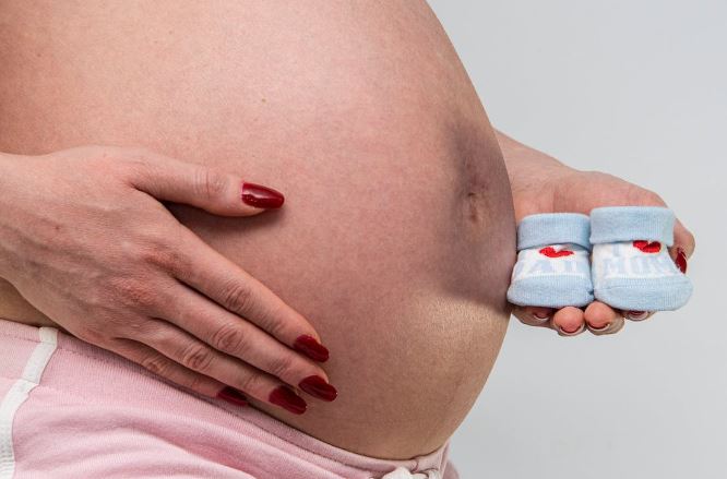 Desarrollo del embarazo y fertilidad