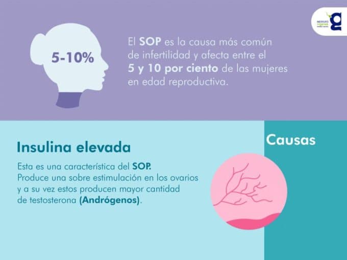 sop-adultez-temprana