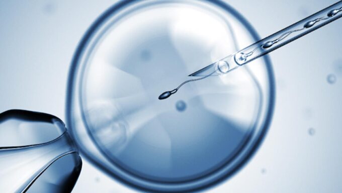 ICSI process Ingenes