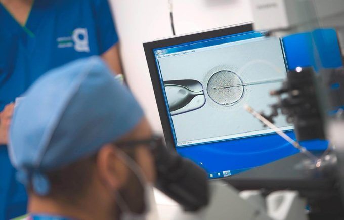 IVF procedure