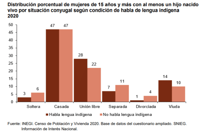 Distribución porcentual madres solteras INEGI