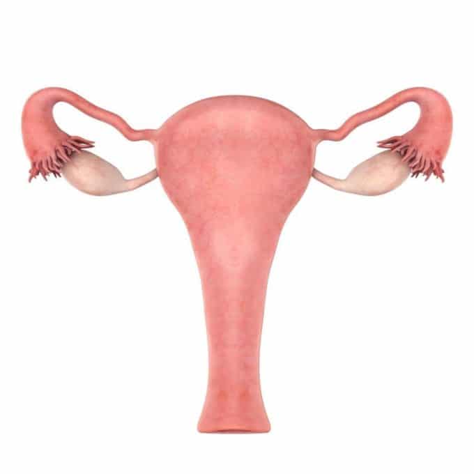 Ser mamá