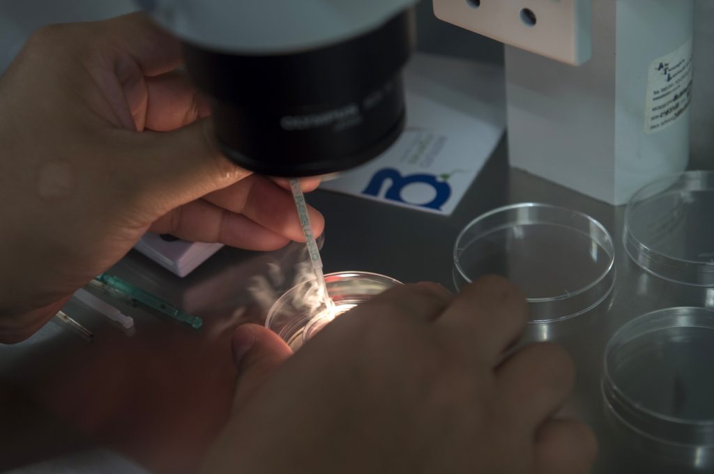 Laboratorios Ingenes
