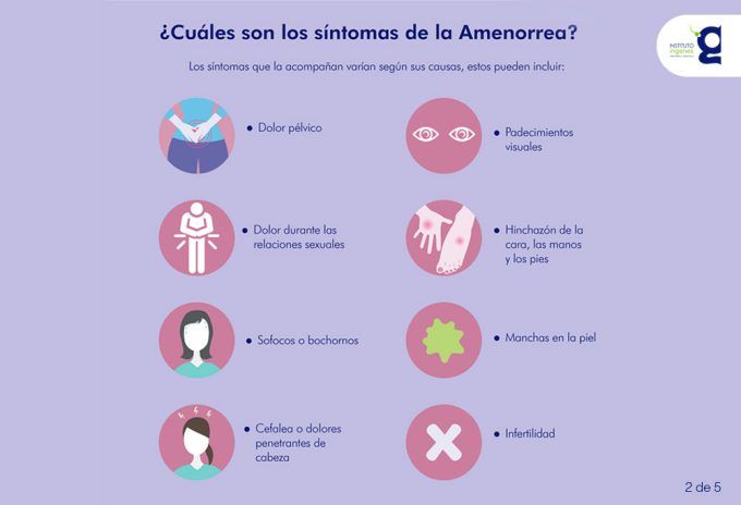 amenorrea definición