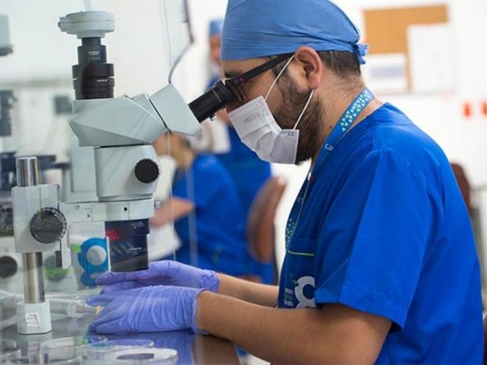 Laboratorios Ingenes