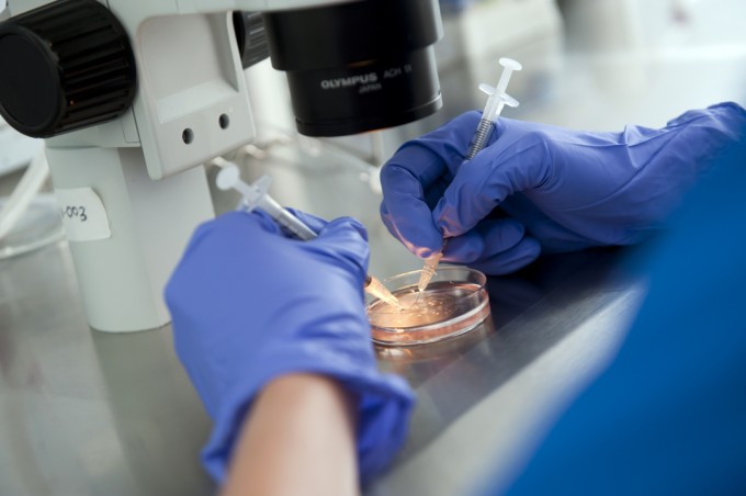 Laboratorio FIV