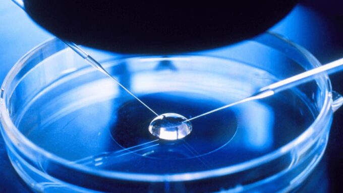 fertilización-in-vitro-ingenes-procedimiento-para-unir-ovulo-y-esperma-en-laboratorio