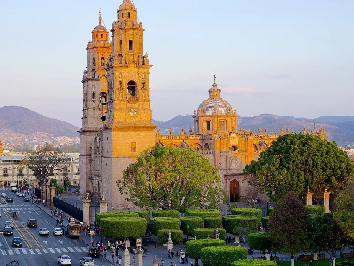 Ingenes Morelia