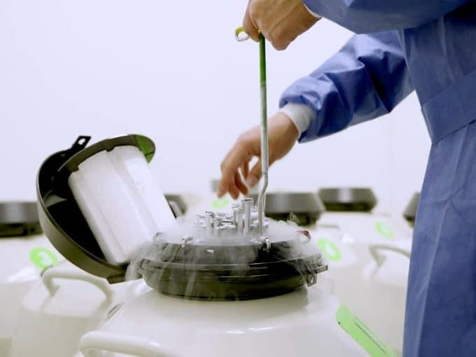 Almacenamiento de embriones y gametos en el laboratorio de Ingenes